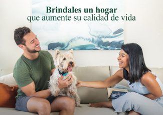 Ellos importan ¿cómo elegir un hogar para tu mascota?